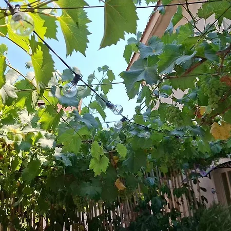 Сasa de vacaciones Casa Del Glicine Tortolì